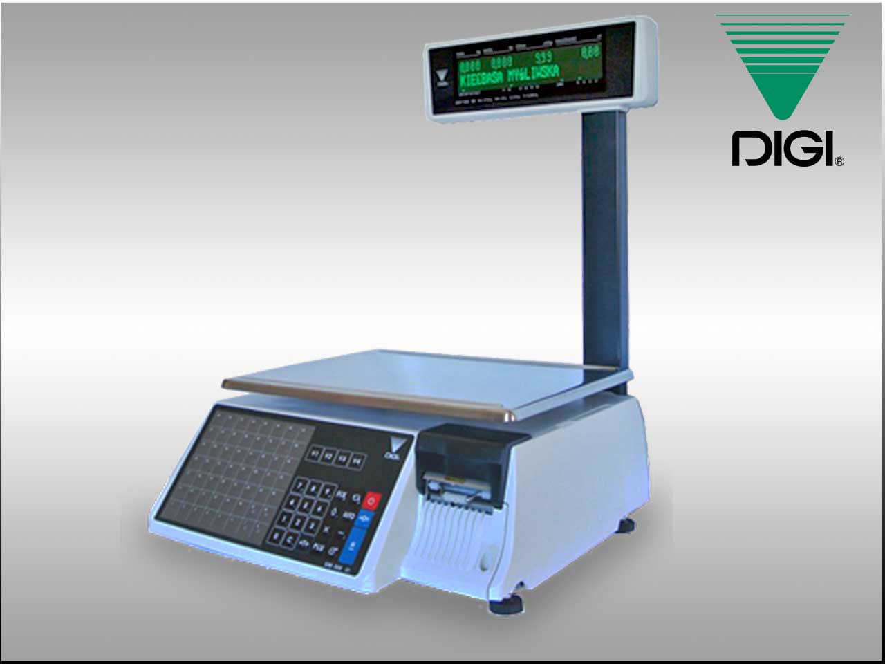 Digi SM-110P